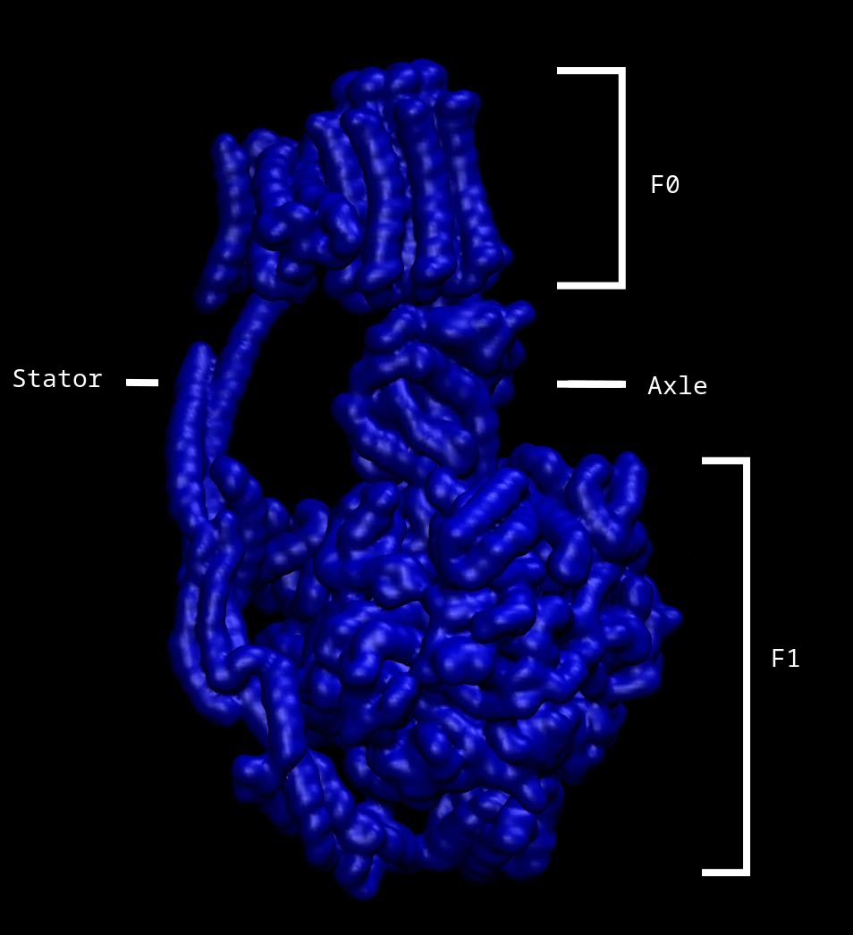 Volumetric representation of 5are